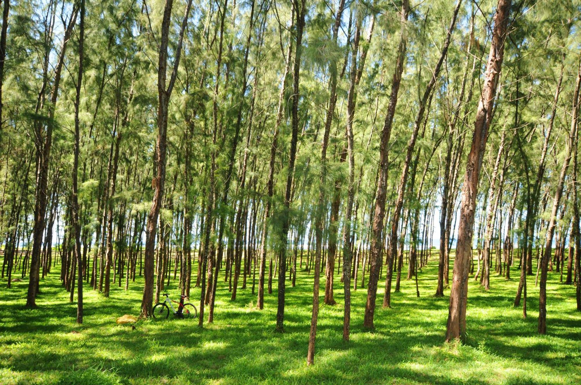 L'Oase De Riambel Villa ภายนอก รูปภาพ
